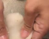 草莓大福的食譜步驟6照片