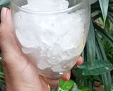Foto langkah ke 4 dari resep Mix fruit juice.