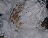 A picture of step 6 of Cake with Egg Whites and Amaretti Cookies.