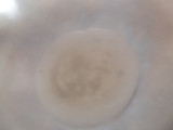 કોકોનટ નેમેગો લાડુ