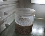 Foto langkah ke 5 dari resep Overnight Pudding Chia Seed Topping Buah.