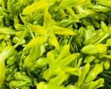 Hình bước làm 1 của món Món chay dễ làm 🌱🍃: Bông thiên lý xào nấm đông cô + tàu hủ ky khô