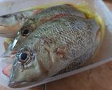 Foto langkah ke 5 dari resep Ikan Katamba Kuah.