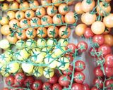 Une image de l'étape 1 de DOLMA aux légumes d'été 🐠🌶️🥦🥕.