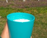 Foto del paso 2 de la receta: Licuado de banana y manzana