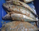 Foto langkah ke 1 dari resep Ikan Layang Sambal Matah.
