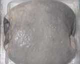 Foto langkah ke 17 dari resep Yin Yang Sourdough Bread (92% - Oven Tangkring).
