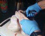 A picture of step 6 of Traditional Roasted Turkey.