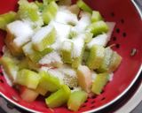 Une image de l'étape 1 de °Smoothie minceur fraise/rhubarbe°.
