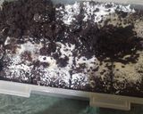 चोको ब्राऊनी (Choco brawnie recipe in Hindi) रेसिपी चरण 5 फोटो