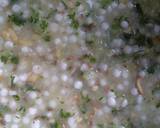 Sabudana chilla recipe step 2 photo