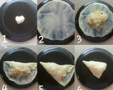 Foto langkah ke 4 dari resep Martabak bihun #RabuBaru.