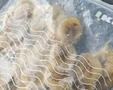Une image de l'étape 1 de Glace au café sans sorbetière.