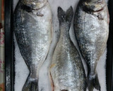 Foto del paso 1 de la receta: Dorada a la sal con patatas arrugadas