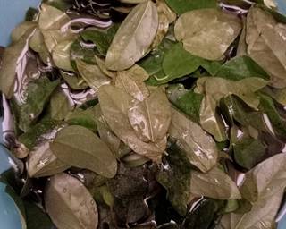 Cendol Daluman (Cincau) - Step 1