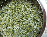 A picture of step 2 of Green Moong Sprouts Salad.