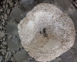 Foto del paso 1 de la receta: Grisines Integrales 🌾