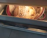 Foto langkah ke 10 dari resep Classic Sourdough Tanpa Stretch and Fold.