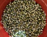 मुग बीन स्प्राऊट्स (mung beans sprouts recipe in marathi)_ रेसिपी स्टेप 5 फोटो 