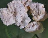 Foto del paso 1 de la receta: Almojábanas de Ricota y Queso de Campo