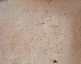 Foto del paso 5 de la receta: Arrollado de dulce de leche