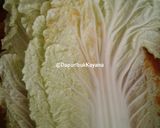 Foto langkah ke 4 dari resep 253. Sawi Putih Tomyam.
