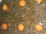 Pascualina