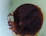 Foto langkah ke 1 dari resep Dalgona Coffee.