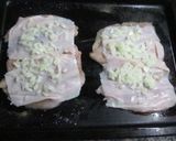 Foto del paso 3 de la receta Matambritos de pollo dietéticos