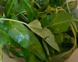Foto langkah ke 1 dari resep Tumis Cumi Kangkung.