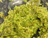 Foto del paso 4 de la receta: Hamburguesa de brócoli y pollo