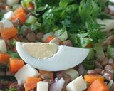 Foto do passo 5 de Salada de lentilha com rúcula e legumes
