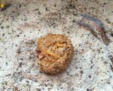 Foto del paso 7 de la receta: Albóndigas Y Hamburguesas  de Soja Texturizada