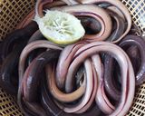 Foto langkah ke 1 dari resep Belut Goreng Krispi.