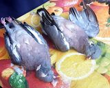 Foto del paso 1 de la receta: Torcaces al estilo Bávaro
