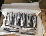 Foto del paso 3 de la receta: Sardinas al horno con lima
