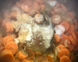 Foto del paso 3 de la receta: Carrilleras de cerdo en salsa de verduras