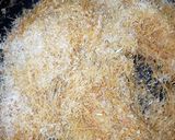A picture of step 2 of Meethi Seviyan(sweet vermicelli).