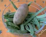 Foto del paso 1 de la receta: Habichuelas con patatas y tomate