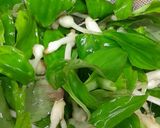 Foto langkah ke 1 dari resep Oseng daun kencur muda.