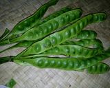 Foto langkah ke 1 dari resep Sambal petai teri.