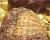A picture of step 4 of Smokey Lamb on a Grill with Veggies.