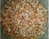 A picture of step 4 of स्पाउट्स ओट्स लच्छा पराठा.