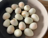 Foto del paso 5 de la receta: Huevos de Codorniz a la escocesa !!!!