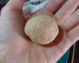 Foto del paso 2 de la receta: Falsos knedles - mini ciruela envuelta en masa de garbanzo