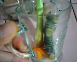 Foto langkah ke 2 dari resep Wedang Rimpang (Gingershot).