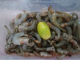 Gimbal udang simpel