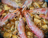 Foto del paso 6 de la receta: Jambalaya