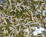 हेल्दी स्प्राऊट अँड व्हेजी टाकोज (Healthy Sprouts And Veggie Tacos Recipe In Marathi) रेसिपी स्टेप 1 फोटो 