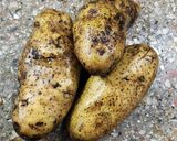 Foto del paso 1 de la receta: Papas a la crema 🥔, ricas, livianas y facilísimas 💫